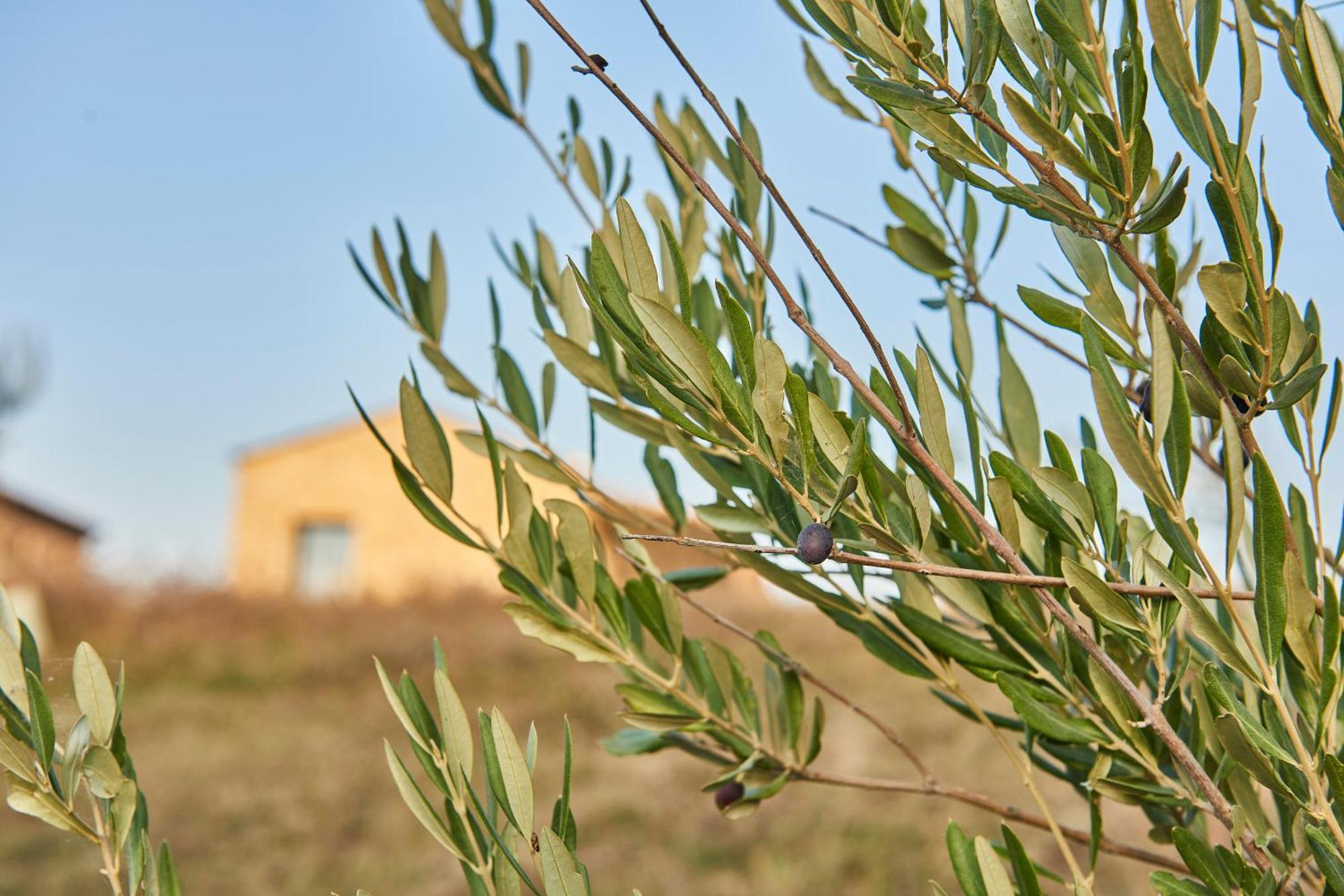 Agriturismo Prato Del Re Prignano sulla Secchia Exteriér fotografie